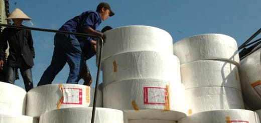 Ngành giấy đang tìm thế cân bằng