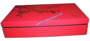 hộp giấy cao cấp 4