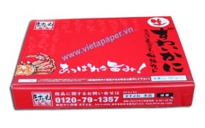 hộp carton in offset cao cấp xuất khẩu