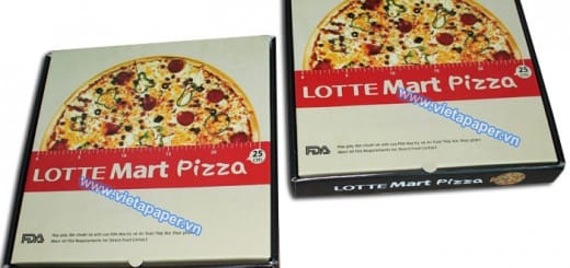 in hộp bánh pizza