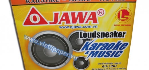 thùng carton in offset đóng gói