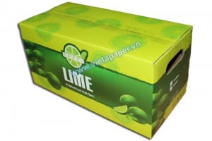 In thùng carton đựng trái cây xuất khẩu đảm bảo chất lượng 18 Thùng carton đựng chanh xuất khẩu 2