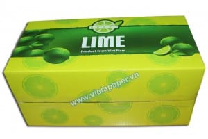 In thùng carton đựng trái cây xuất khẩu đảm bảo chất lượng 19 Thùng carton đựng chanh xuất khẩu 3
