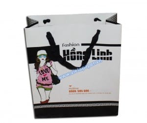 in túi giấy thời trang cao cấp