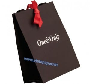 in túi giấy mỹ thuật 03