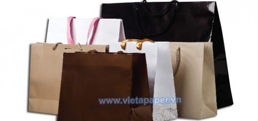 In túi giấy shop thời trang