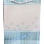in túi giấy thời trang- VietA-bag 0100