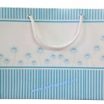 In túi giấy thời trang giá rẻ - Mẫu VietA-Bag 0101