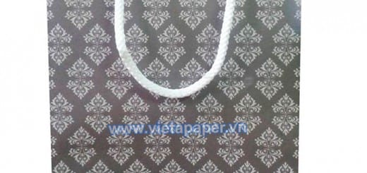 Túi giấy thời trang – Mẫu VietA-Bag 0103