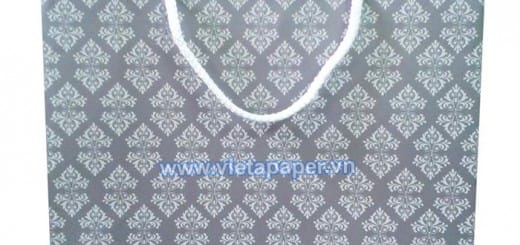 Túi giấy thời trang – Mẫu VietA-Bag 0102