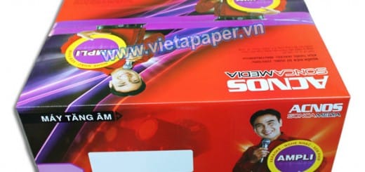in thung carton ampli ACNOS 3