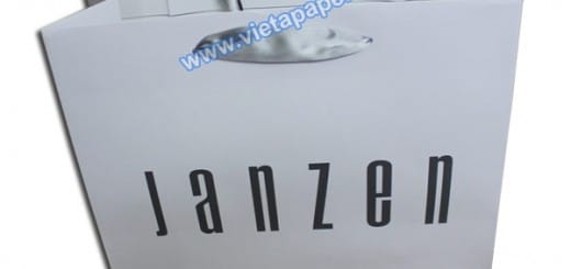 In túi giấy thời trang - Zanzen 03