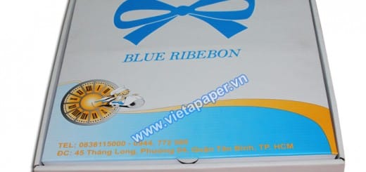 in hộp pizza Blue Ribebon