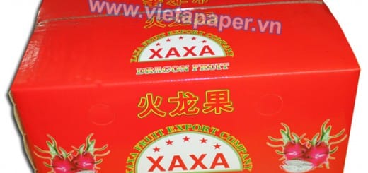 in thùng carton đựng trái cây thanh long xuất khẩu