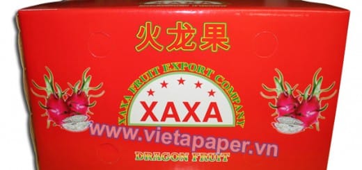 in thùng thanh long xaxa