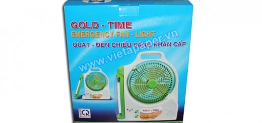 in thùng carton đựng quạt