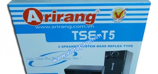In thùng carton đựng loa Arirang TSE-T5