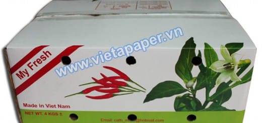 in thùng carton đựng ớt xuất khẩu