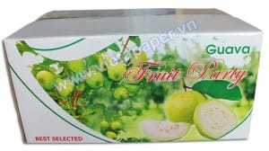 Sản xuất thùng carton tại Bình Dương 11 thùng carton in offset đựng trái ổi xuất khẩu -02