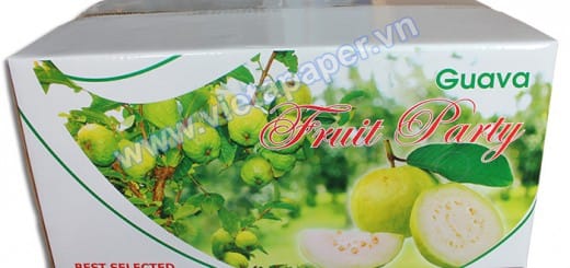 thùng carton in offset đựng trái ổi xuất khẩu -02