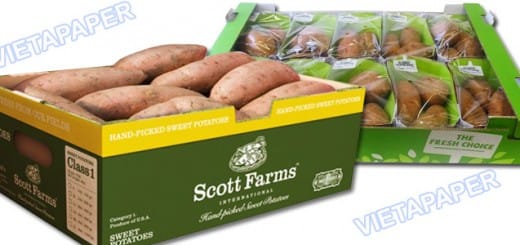 Thùng carton 5, 7 lớp in offset đựng khoai lang xuất khẩu