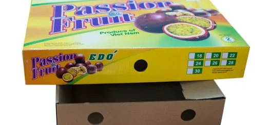 Sản xuất hộp carton in offset đựng chanh dây xuất khẩu
