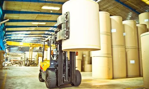 Doanh nghiệp bao bì Việt điêu đứng vì Trung Quốc gom mua giấy - hinh 1