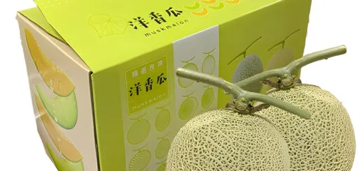 In hộp carton đựng dưa lưới theo yêu cầu