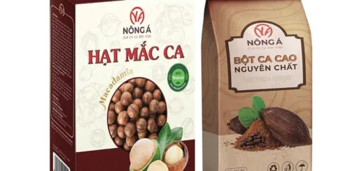 In hộp giấy đựng macca theo yêu cầu - HInh 2517