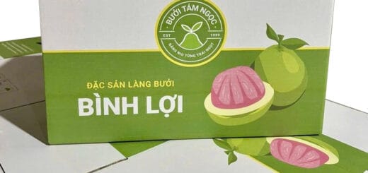 In thùng carton đựng bưởi xuất khẩu