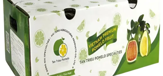 sản xuất Thùng carton đựng bưởi tùy chỉnh theo yêu cầu - 2511